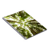 Carnet Forêt de pluie verte (Côté Droit)