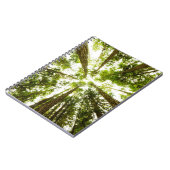 Carnet Forêt de pluie verte (Côté gauche)