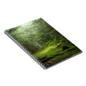Carnet Forêt de Sterious (Côté Droit)