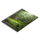 Carnet Forêt de Sterious (Côté gauche)