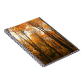 Carnet Forêt d'Orange (Côté Droit)