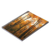 Carnet Forêt d'Orange (Côté gauche)