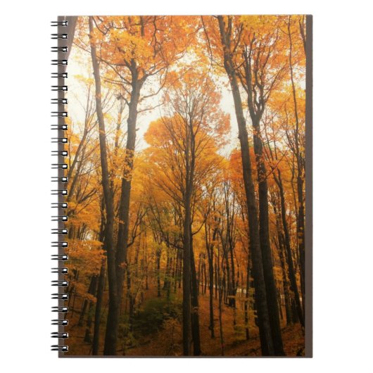 Carnet Forêt d'Orange (Devant)
