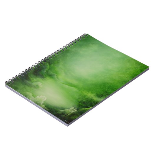 Carnet Forêt en cristal 1991 (Côté gauche)