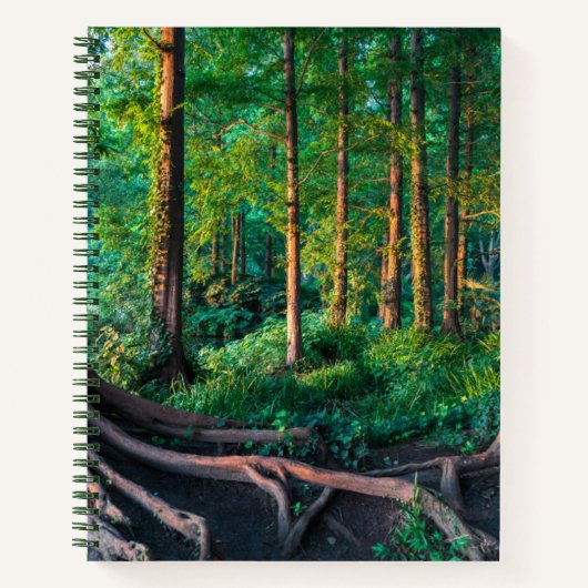 Carnet Forêt en été (Devant)
