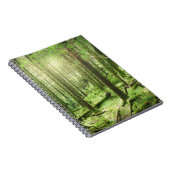 Carnet Forêt en parc national | Kerry, Irlande de (Côté Droit)