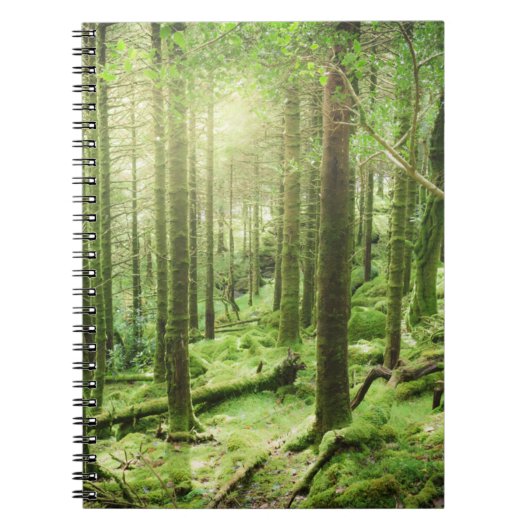 Carnet Forêt en parc national | Kerry, Irlande de (Devant)