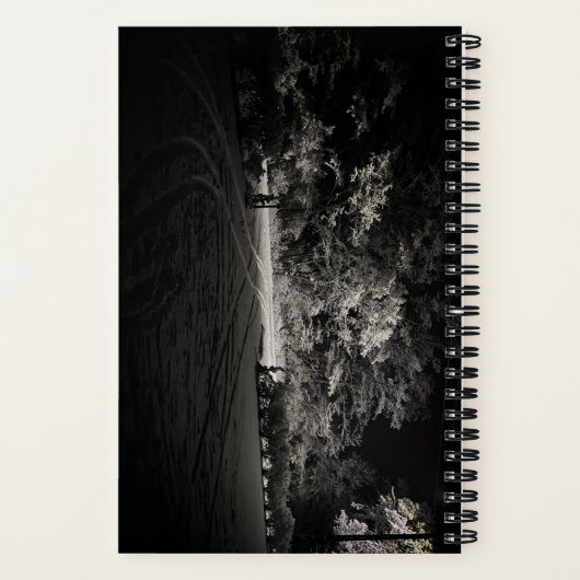 Carnet Forêt enneigée la nuit (Verso)