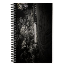Forêt enneigée la nuit