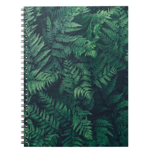 Carnet Forêt | Fermes des bois (Devant)