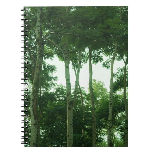 Carnet Forêt forestière (Devant)