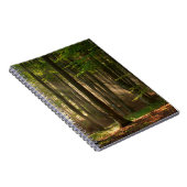 Carnet Forêt | Forêt d'automne (Côté Droit)