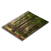 Carnet Forêt | Forêt d'automne (Côté gauche)
