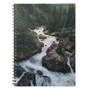 Carnet Forêt Grison Graubunden Canton