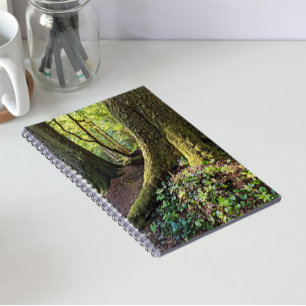 Carnet Forêt luxuriante et verdoyante