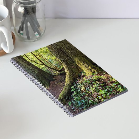 Carnet Forêt luxuriante et verdoyante