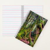 Carnet Forêt moussue (À l'intérieur)
