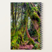 Carnet Forêt moussue (Verso)