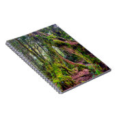 Carnet Forêt moussue (Côté Droit)