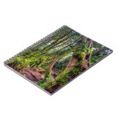Carnet Forêt moussue (Côté gauche)