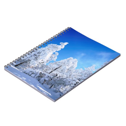 Carnet Forêt nationale de Cleveland (Côté gauche)