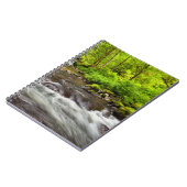 Carnet Forêt nationale de Siuslaw, ruisseau Sweet, Oregon (Côté gauche)