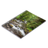 Carnet Forêt nationale de Siuslaw | Sweet Creek (Côté gauche)