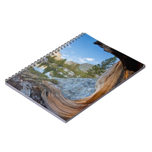 Carnet Forêt nationale d'Inyo, Californie (Côté gauche)