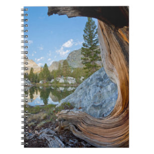 Carnet Forêt nationale d'Inyo, Californie