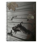 Carnet Forêt Noire (Devant)