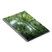 Carnet Forêt nuageuse de Monteverde, Costa Rica. (Côté Droit)
