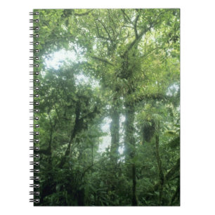 Carnet Forêt nuageuse de Monteverde, Costa Rica.