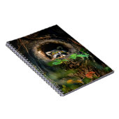 Carnet Forêt | Raccoon Peeking (Côté Droit)