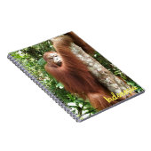 Carnet Forêt tropicale de Bornéo (Côté Droit)