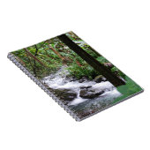 Carnet Forêt tropicale d'Hawaï (Côté Droit)