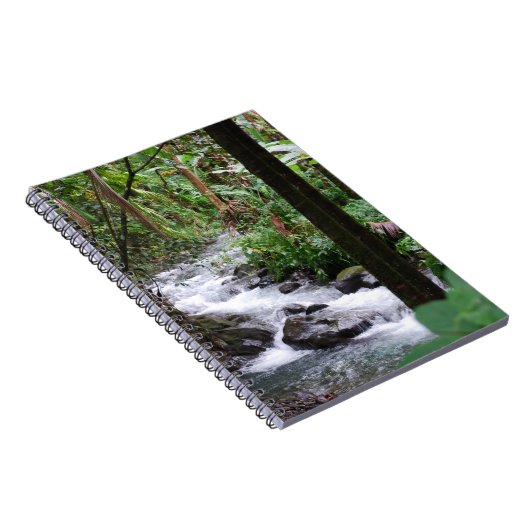 Carnet Forêt tropicale d'Hawaï (Côté Droit)