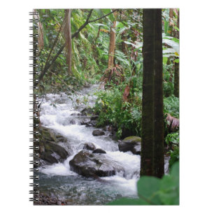 Carnet Forêt tropicale d'Hawaï