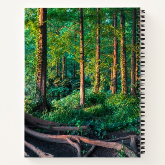 Carnet Forêt | Végétation et forêt (Dos)