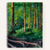 Carnet Forêt | Végétation et forêt (Devant)