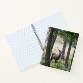 Carnet Forêt | Woodlands & Red Deer (Intérieur)