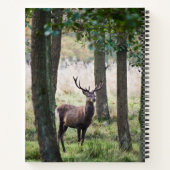 Carnet Forêt | Woodlands & Red Deer (Dos)