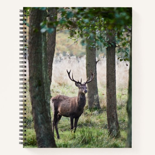 Carnet Forêt | Woodlands & Red Deer (Devant)