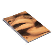 Carnet formation Brown de sable (Côté Droit)