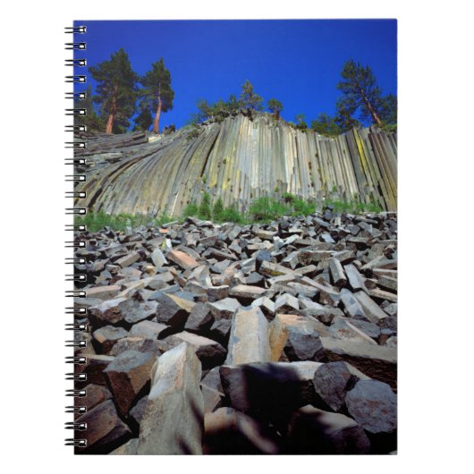 Carnet Formations basaltiques de Devils Postpile (Devant)