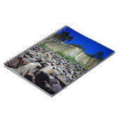 Carnet Formations basaltiques du Postpile de Devils (Côté gauche)