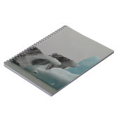 Carnet Formations d'iceberg (Côté gauche)