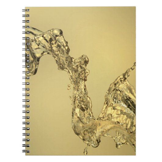 Carnet Forme abstraite constituée en éclaboussant l'eau (Devant)