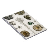 Carnet fossiles, dinosaures, fossiles, paléontologie, géo (Côté Droit)