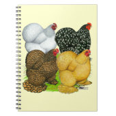 Carnet Four Cochin (Devant)
