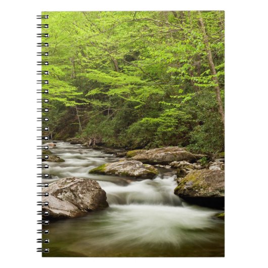 Carnet Fourche droite traverse la forêt (Devant)